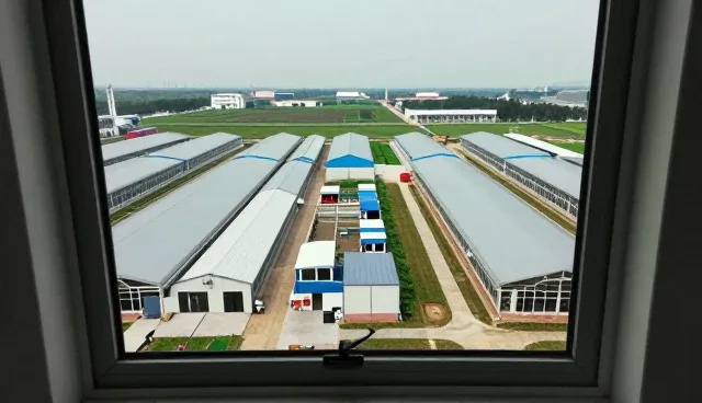 来图定制金属网的加工要点与维护建议